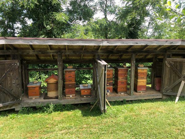 Assorted Bee Hives In Protective Shelter