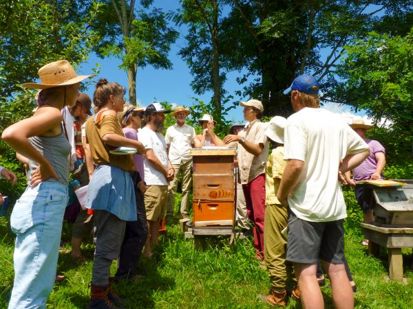 Workshop Participants Observing Langstroth Hive