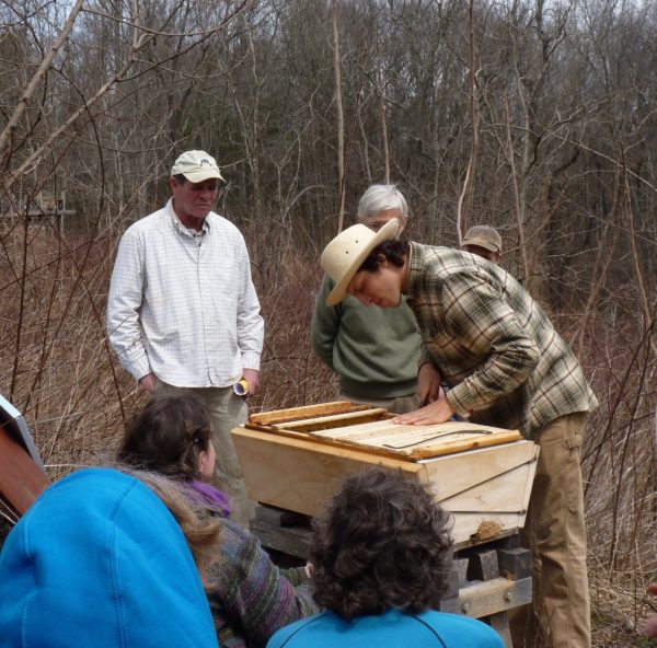 Alex and class examining an open top bar hive