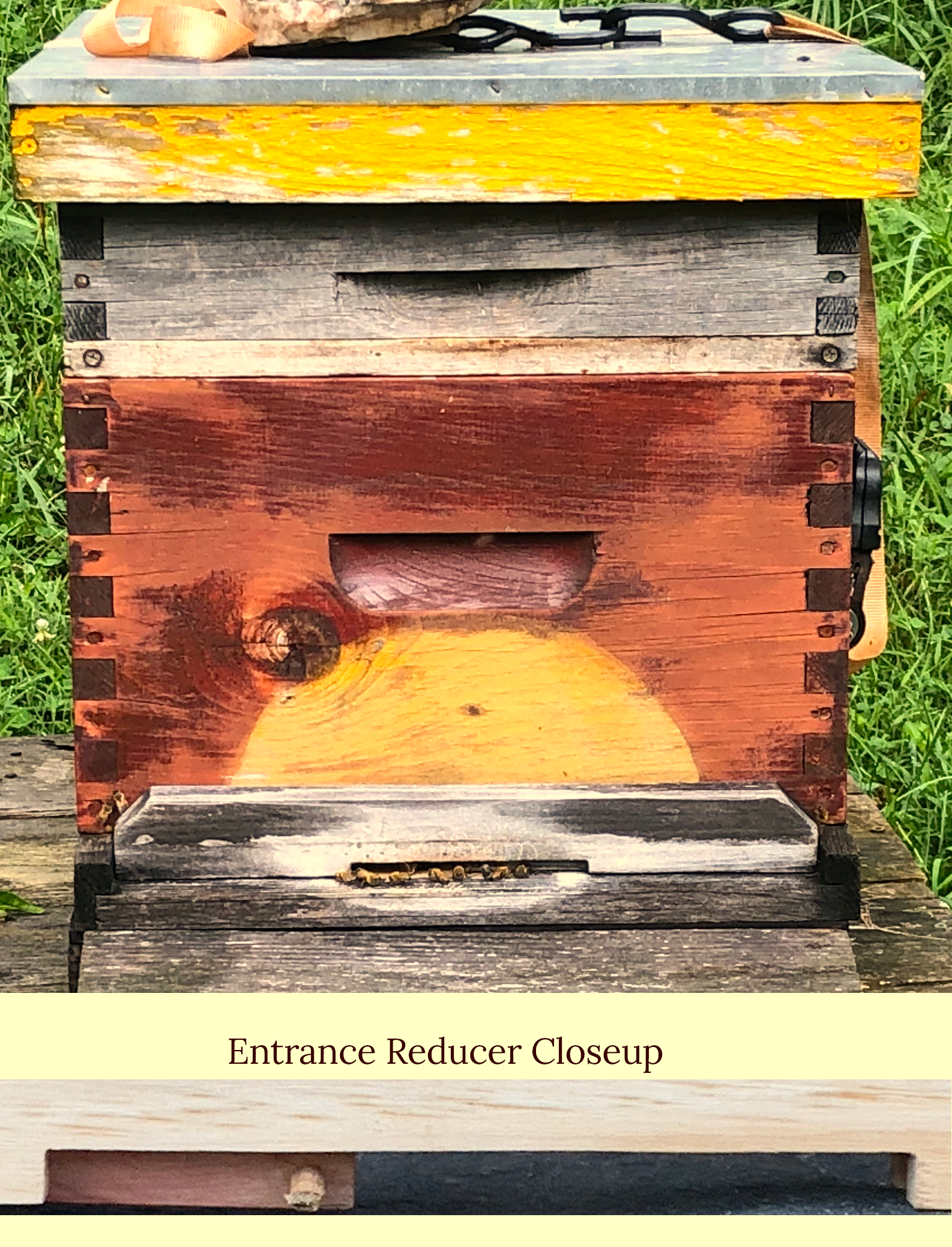 Bee Hive Entrance Reducer For 10 Frame Bee 
