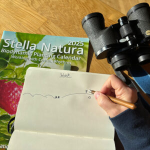 Stella Natura Calendar and binoculars with a person's hand taking notes.