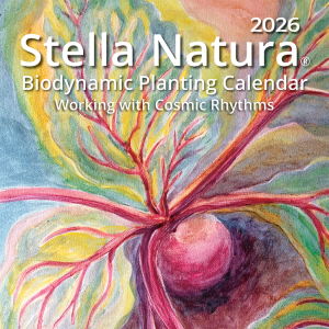 Stella Natura Biodynamic Planting Calendar - Working with the Cosmic Rhythms. Cover of Stella Natura 2026 calendar showing a beet in the garden.