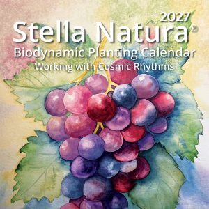Stella Natura 2027 English cover featuring a cluster of grapes and grape leaves. Text on the cover says 2027 Stella Natura; Biodynamic Planting Calendar; Working with the Cosmic Rhythms.