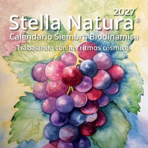 2027 Stella Natura Calendar - Spanish Version. Image of grapes and grape leaves. Test says "2027 Stella Natura; Calendario Siembra Biodinamica; Trabajando con los ritmos cosmicos"